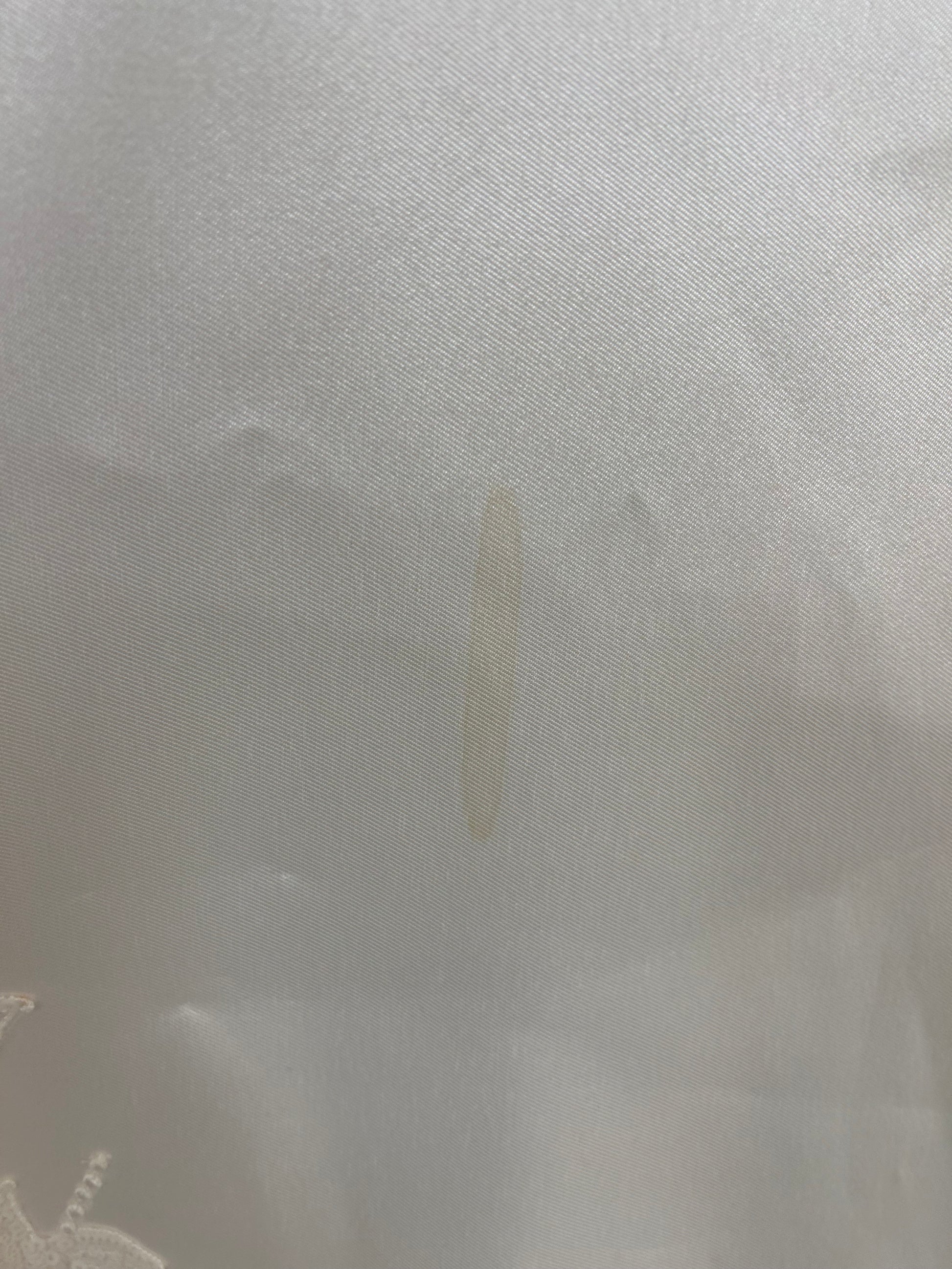 Atelier Pronovias 'HELA' Wedding Dress Sample