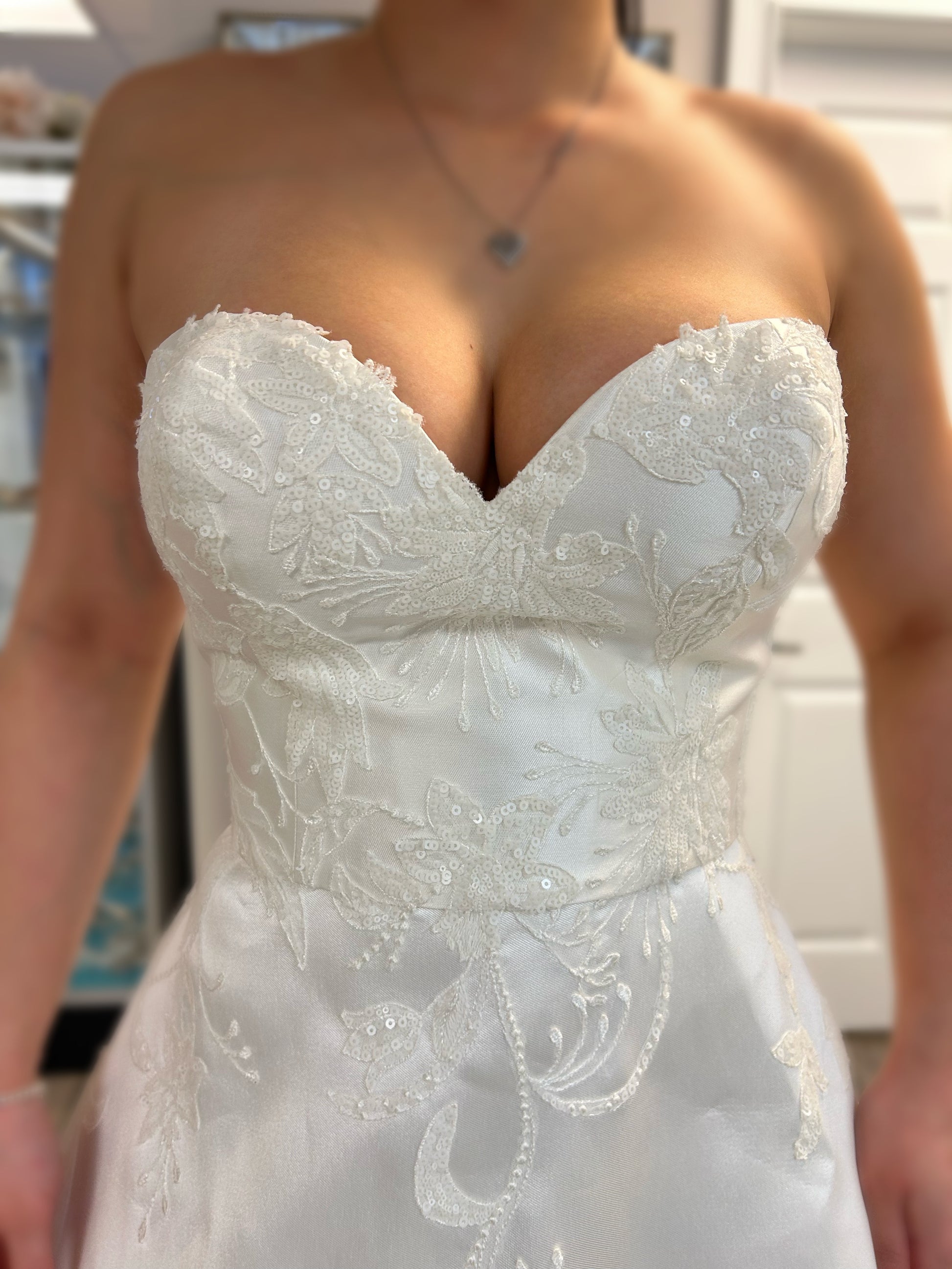 Atelier Pronovias 'HELA' Wedding Dress Sample